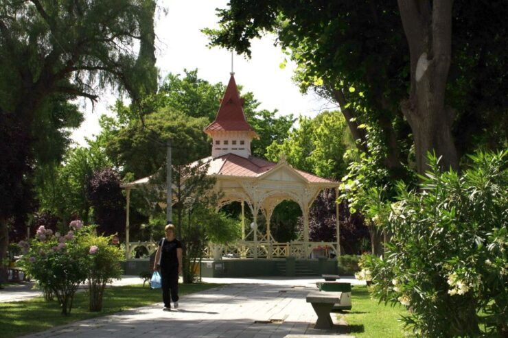 From Puerto Madryn: Chubut River Valley Welsh Colonies - Experience Highlights