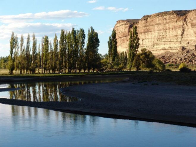 From Puerto Madryn: Chubut River Valley Welsh Colonies - Detailed Itinerary