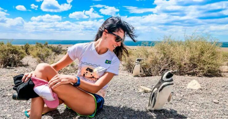 From Puerto Madryn: Punta Tombo Day Trip With Hotel Transfer - Good To Know