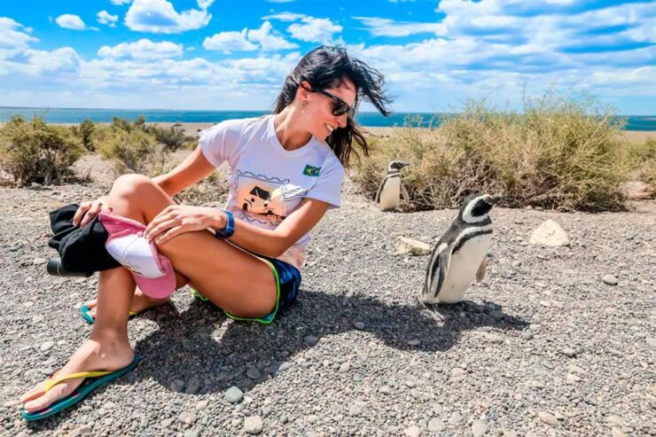 From Puerto Madryn: Punta Tombo Day Trip With Hotel Transfer - Activity Details