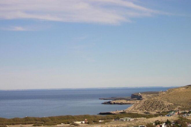 From Puerto Madryn: Punta Tombo Day Trip With Hotel Transfer - Review Summary