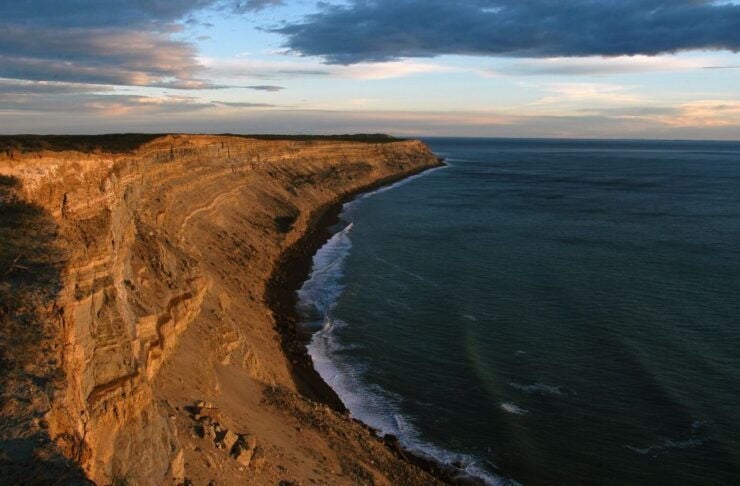 From Puerto Madryn: Valdes Peninsula Full-Day Tour - Tour Details