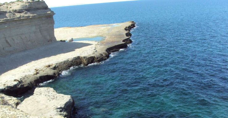 From Puerto Madryn: Valdes Peninsula Full-Day Tour - Highlighted Experiences