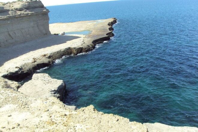 From Puerto Madryn: Valdes Peninsula Full-Day Tour - Pickup and Transportation