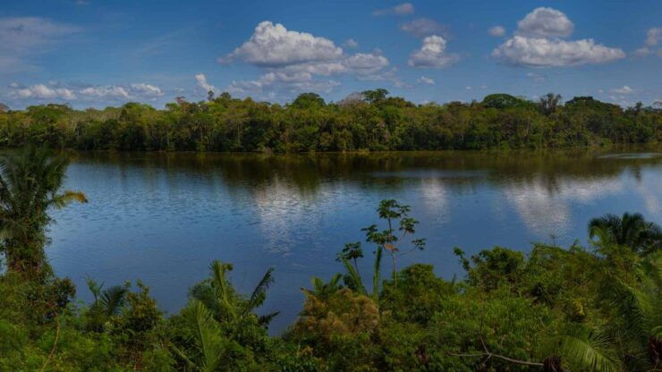 From Puerto Maldonado: Adventure in Tambopata 3Days-2Nights - Good To Know