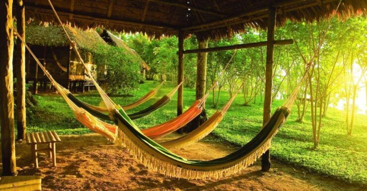 From Puerto Maldonado: Tambopata 3-Day Rainforest Tour - Tour Overview