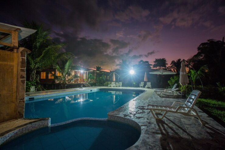From Puerto Maldonado: Tambopata National Reserve 3-Day Tour - Tour Overview