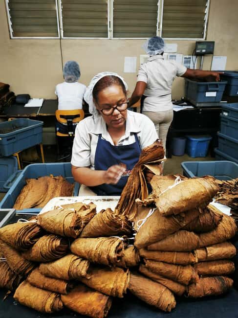 From Puerto Plata Priv: Cocoa, Coffee, Cigars & Local Market - FAQ