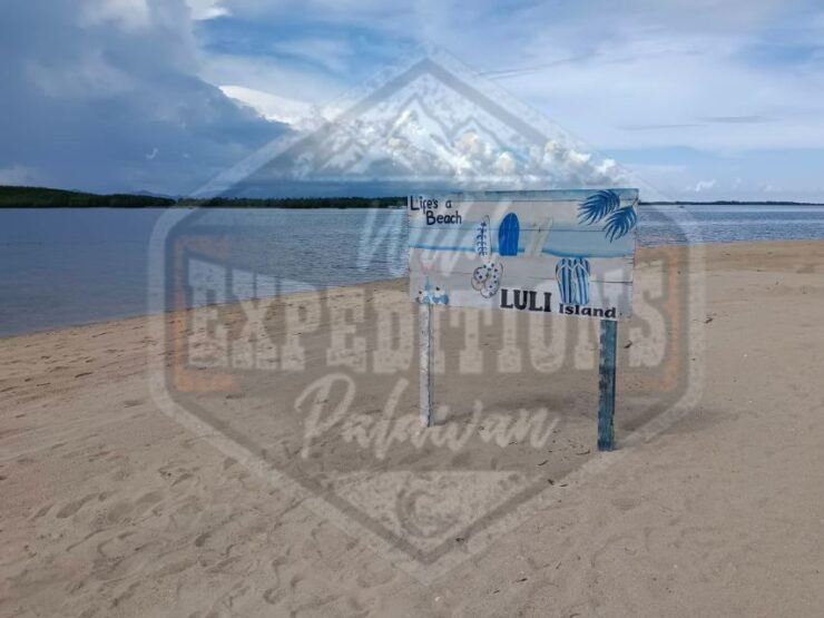 From Puerto Princesa: Honda Bay Island Hopping Full-Day Tour - Activity Details