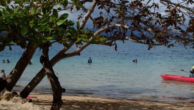 From Puerto Princesa: Honda Bay Island Hopping Full-Day Tour - Pickup Information