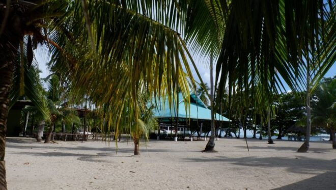 From Puerto Princesa: Honda Bay Island Hopping Full-Day Tour - Customer Testimonial and Verification
