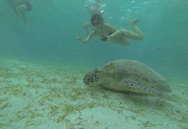 From Puerto Princesa: Port Barton Island Hopping Day Trip - Customer Review