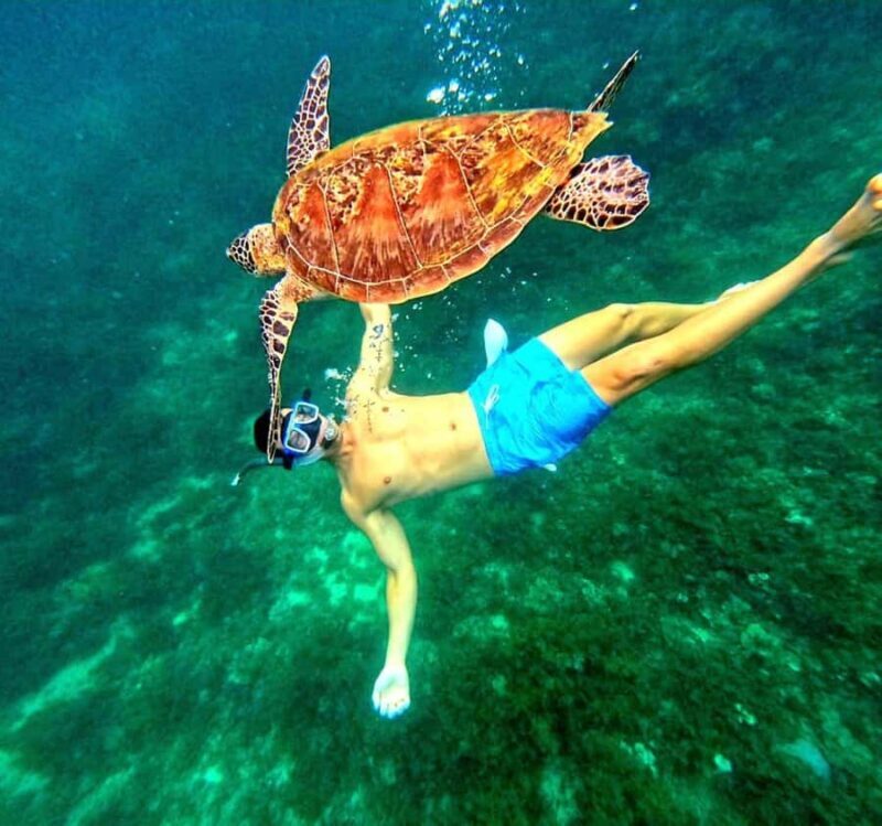 From Puerto Princesa: Port Barton Island Hopping - An In-Depth Look at Port Barton Island Hopping Tour