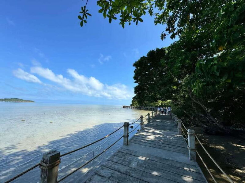 From Puerto Princesa: Tabon Cave Day Tour with lunch - Good To Know
