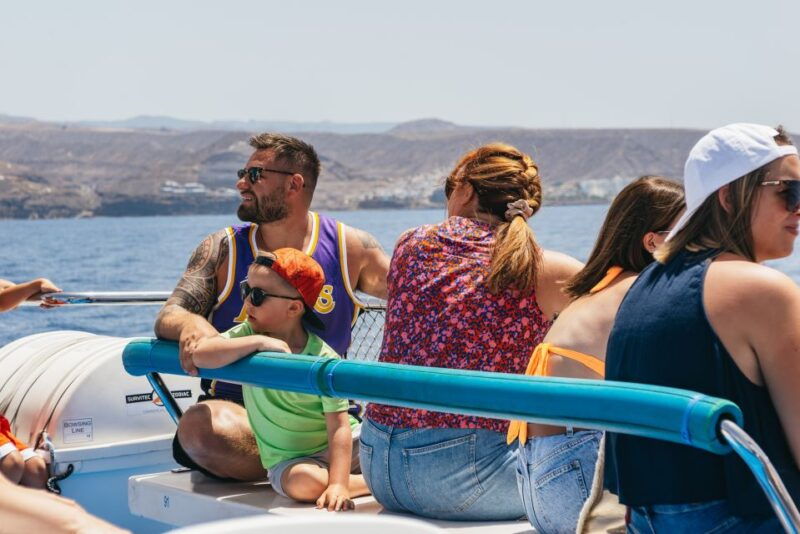 From Puerto Rico De Gran Canaria: Dolphin Watching Cruise - Good To Know