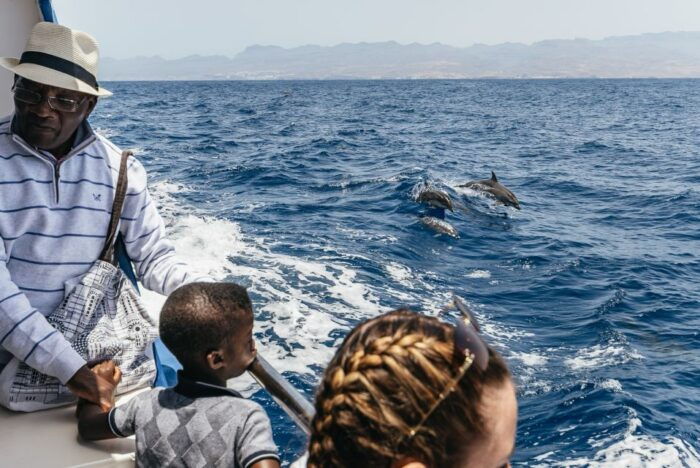 From Puerto Rico De Gran Canaria: Dolphin Watching Cruise - Booking and Cancellation