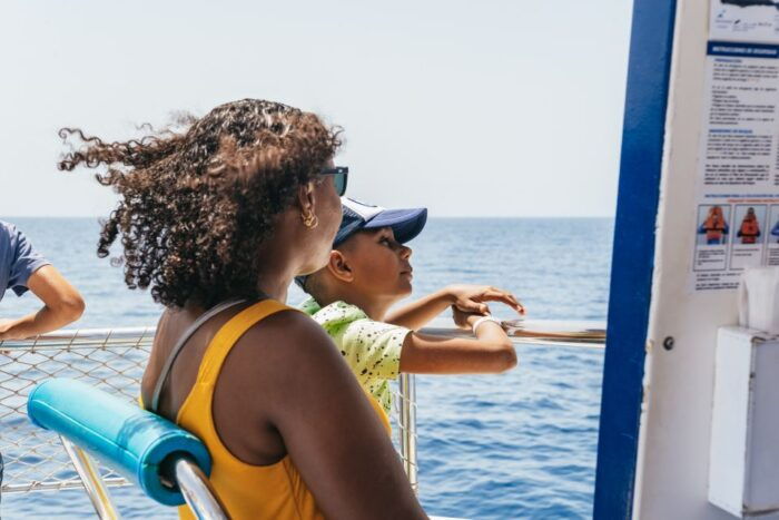 From Puerto Rico De Gran Canaria: Dolphin Watching Cruise - What to Expect on the Cruise