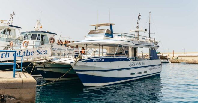 From Puerto Rico De Gran Canaria: Dolphin Watching Cruise - Inclusions