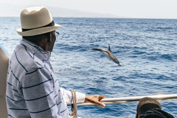 From Puerto Rico De Gran Canaria: Dolphin Watching Cruise - The Sum Up