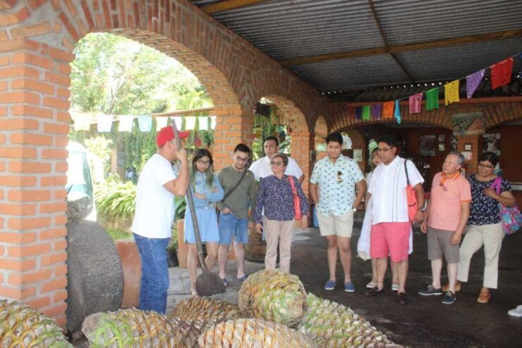 From Puerto Vallarta: El Tuito Tour With Lunch - Tour Overview