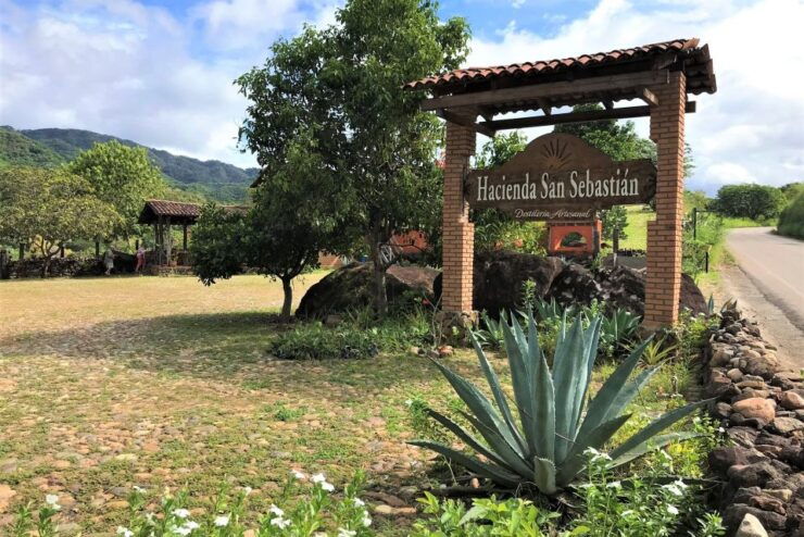From Puerto Vallarta: Full-Day Tour to San Sebastian - Experience Highlights