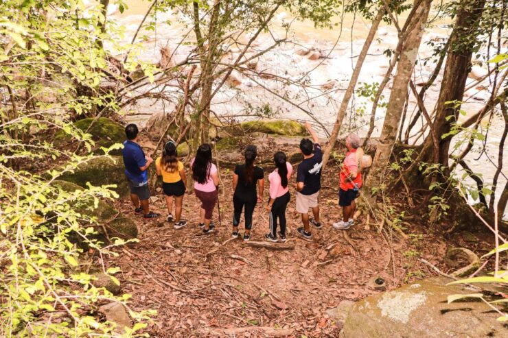From Puerto Vallarta: Hiking to Vallarta Botanical Garden - Booking Details