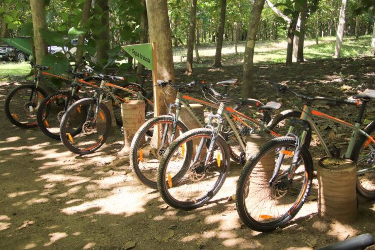 From Puerto Vallarta: Jungle Mountain Bike Tour - Good To Know