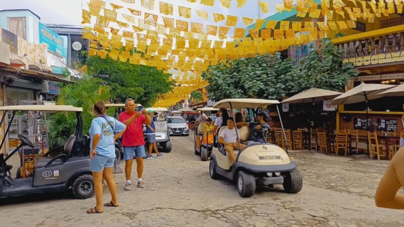 From Puerto Vallarta: San Pancho and Sayulita Cultural Tour - FAQs