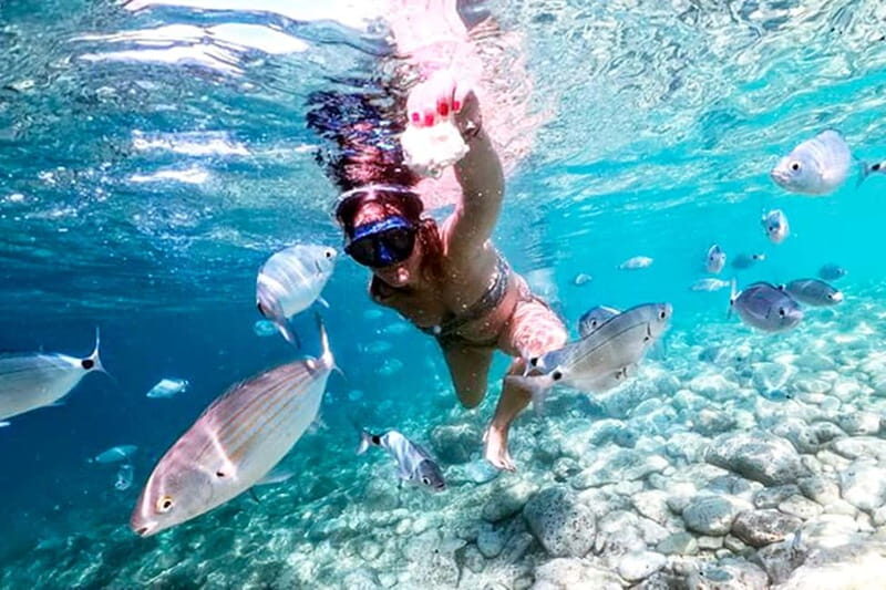 From Pula: Island Stop and National Park Day Cruise - Considerations for Travelers