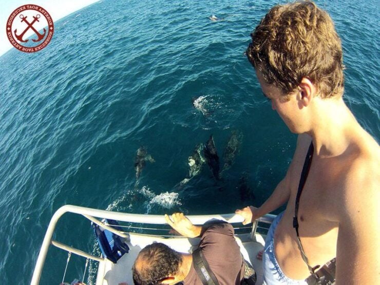 From Pula: Island Stop and National Park Day Cruise - Activity Information