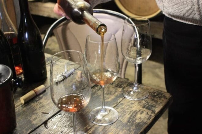 From Pula or Rovinj: Istrian Wine Express Tour - Highlights of the Tour