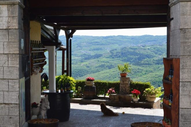 From Pula or Rovinj: Istrian Wine Express Tour - Inclusions and Amenities