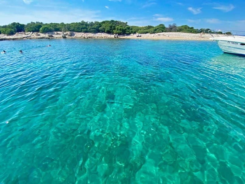 From Pula: Rovinj & NP Brijuni cruise with Red Island visit - Good To Know