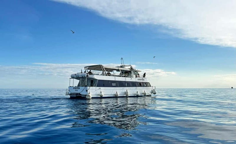 From Pula: Rovinj & NP Brijuni cruise with Red Island visit - The Food and Drinks: A Highlight