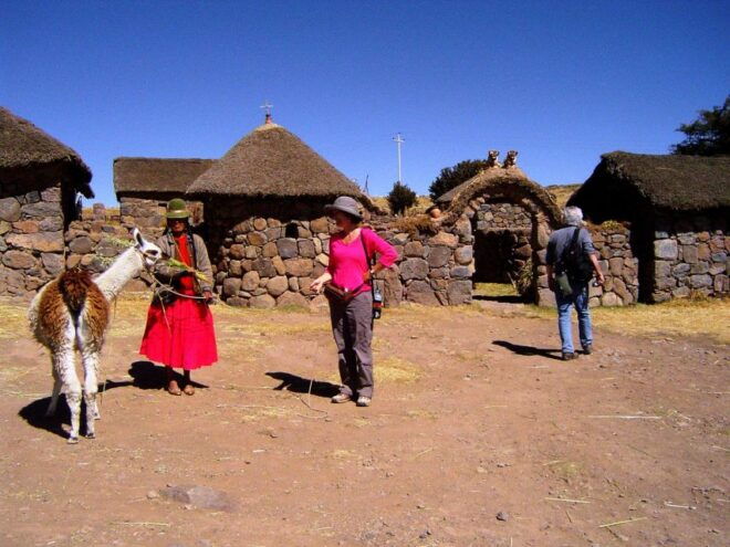 From Puno: Sillustani Tombs and Tourist View Point Puma - Lake Umayo Scenic Beauty