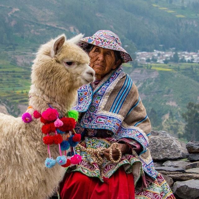 From Puno to Arequipa: 2 Days/1 Night Colca Canyon Tour - Booking Details