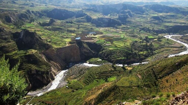 From Puno to Arequipa: 2 Days/1 Night Colca Canyon Tour - Tour Experience