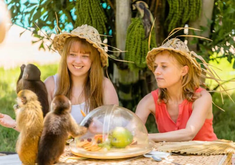 From Punta Cana: ATV and Buggy Excursion 4x4 with Water Cave - A Deep Dive into the Experience