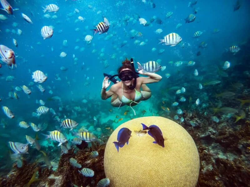 From Punta Cana: Catamaran Cruise with Lunch - FAQs