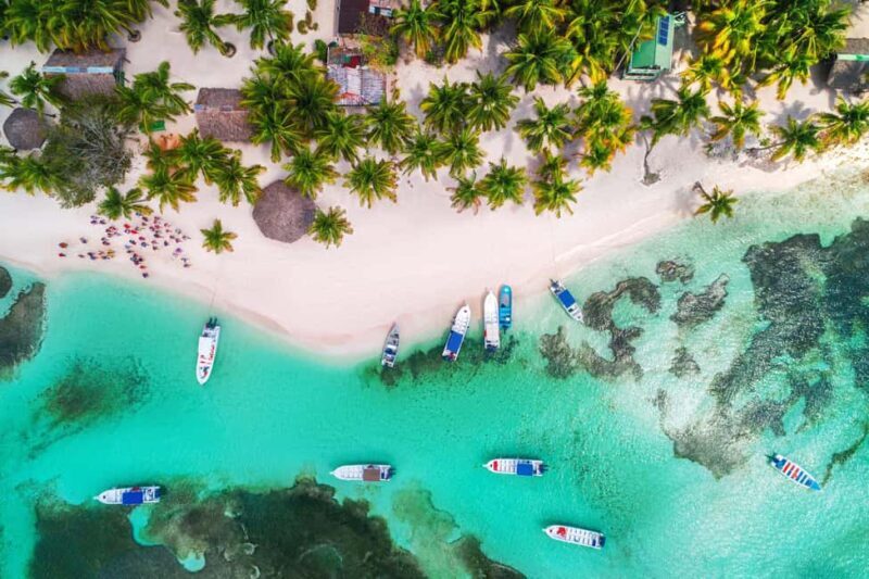 From Punta Cana: Catamaran Tour to Saona Island with Open Bar and Buffet - Intro: What makes this tour worth considering?