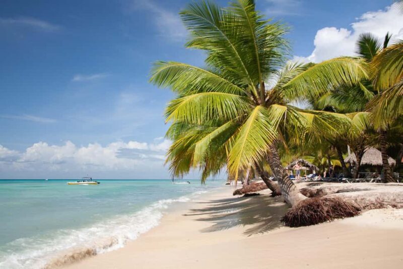 From Punta Cana: Catamaran Tour to Saona Island with Open Bar and Buffet - Good To Know