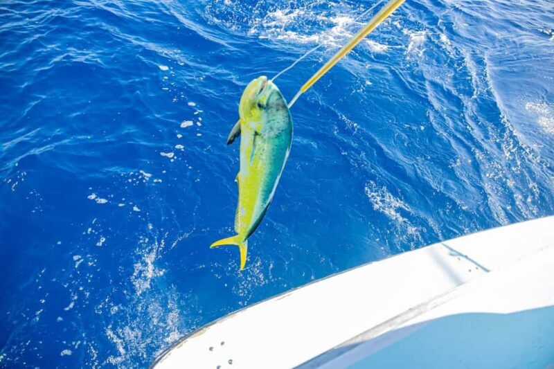 From Punta Cana: Deep Sea Fishing Tour by Boat with Drinks - Drinks and Comfort