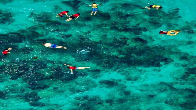 From Punta Cana: Exclusive Catalina Island Tour with Transportation and Lunch - Transportation, Timing, and Overall Logistics