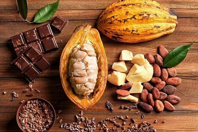 From Punta Cana: Higuey Expedition Cultural & Historic Tour - Final Thoughts