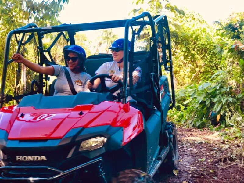 From Punta Cana: Jungle Buggy Adventure to Anamuya River - What to Expect on the Tour  