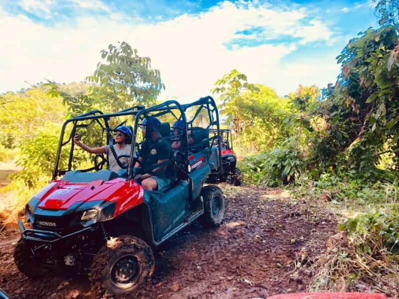 From Punta Cana: Jungle Buggy Adventure to Anamuya River - Final Thoughts: Is It Worth It?  