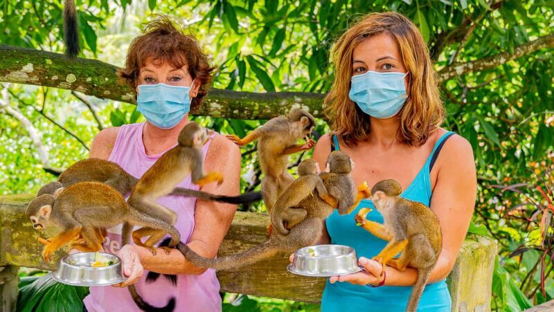 From Punta Cana: Jungle Buggy Ride & Monkeyland Guided Tour - Good To Know