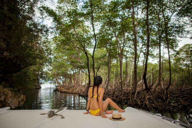 From Punta Cana: Los Haitises & Caño Hondo Private Boat Tour - The Sum Up: Who Will Love This Tour?