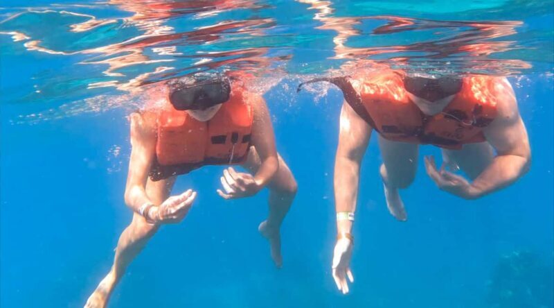 From Punta Cana or Bayahibe: Catalina Island with Snorkeling - The Experience in Detail