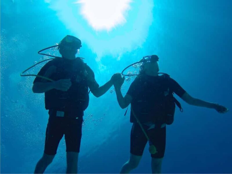 From Punta Cana: Private Catamaran Catalina Island Full-Day - Good To Know